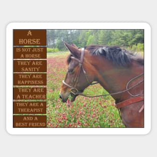 What is a Horse Sticker